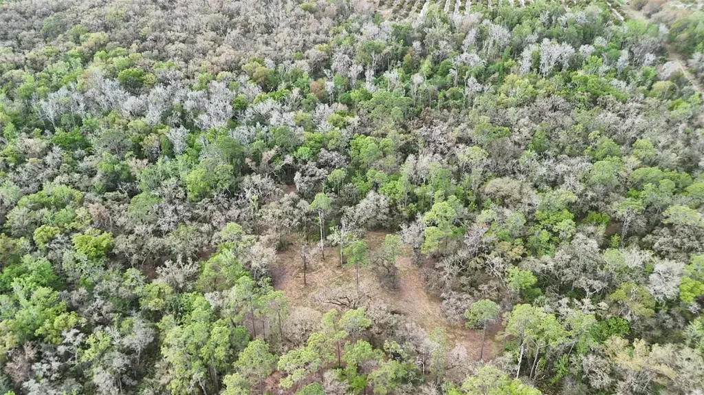 Gillette Road Zolfo Springs FL 33890