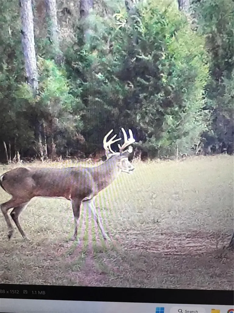 Gillette Road Zolfo Springs FL 33890