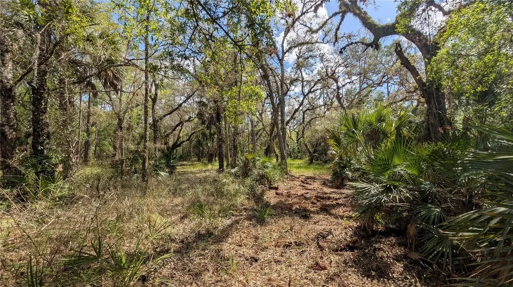 Gillette Road Zolfo Springs FL 33890