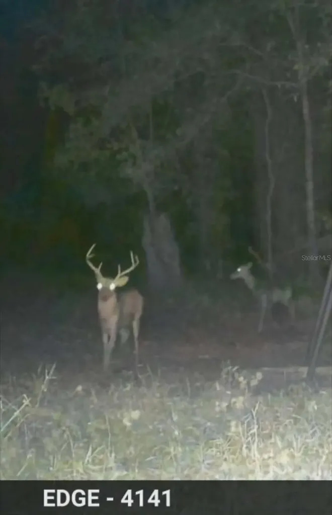 Gillette Road Zolfo Springs FL 33890