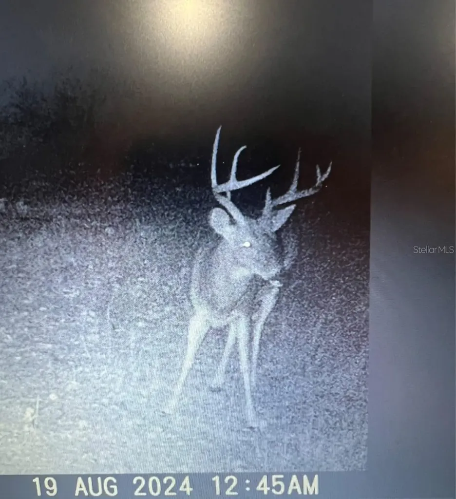 Gillette Road Zolfo Springs FL 33890