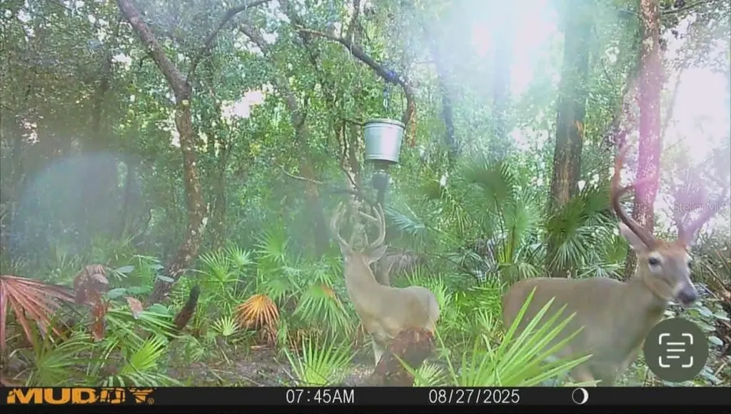 Gillette Road Zolfo Springs FL 33890