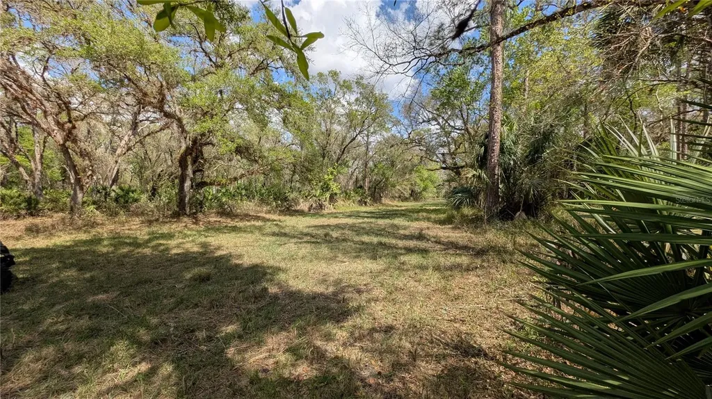 Gillette Road Zolfo Springs FL 33890