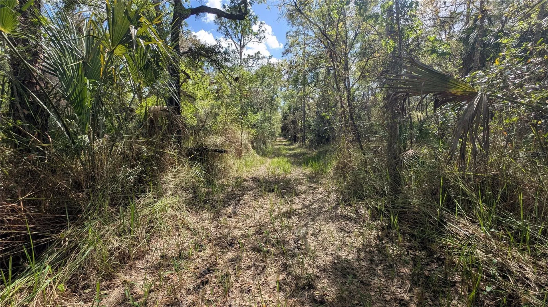 Gillette Road Zolfo Springs FL 33890