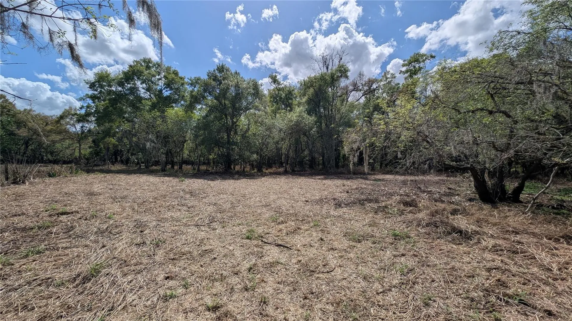 Gillette Road Zolfo Springs FL 33890