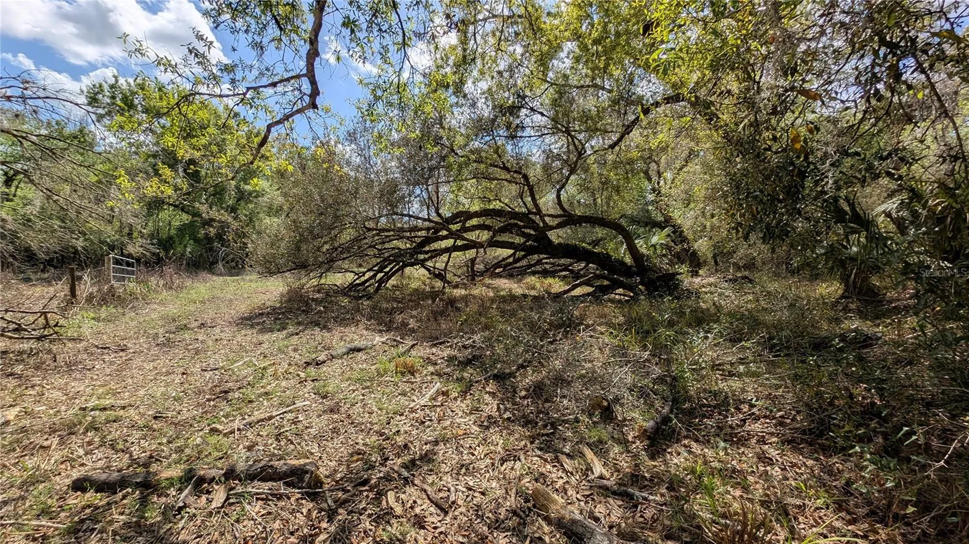 Gillette Road Zolfo Springs FL 33890
