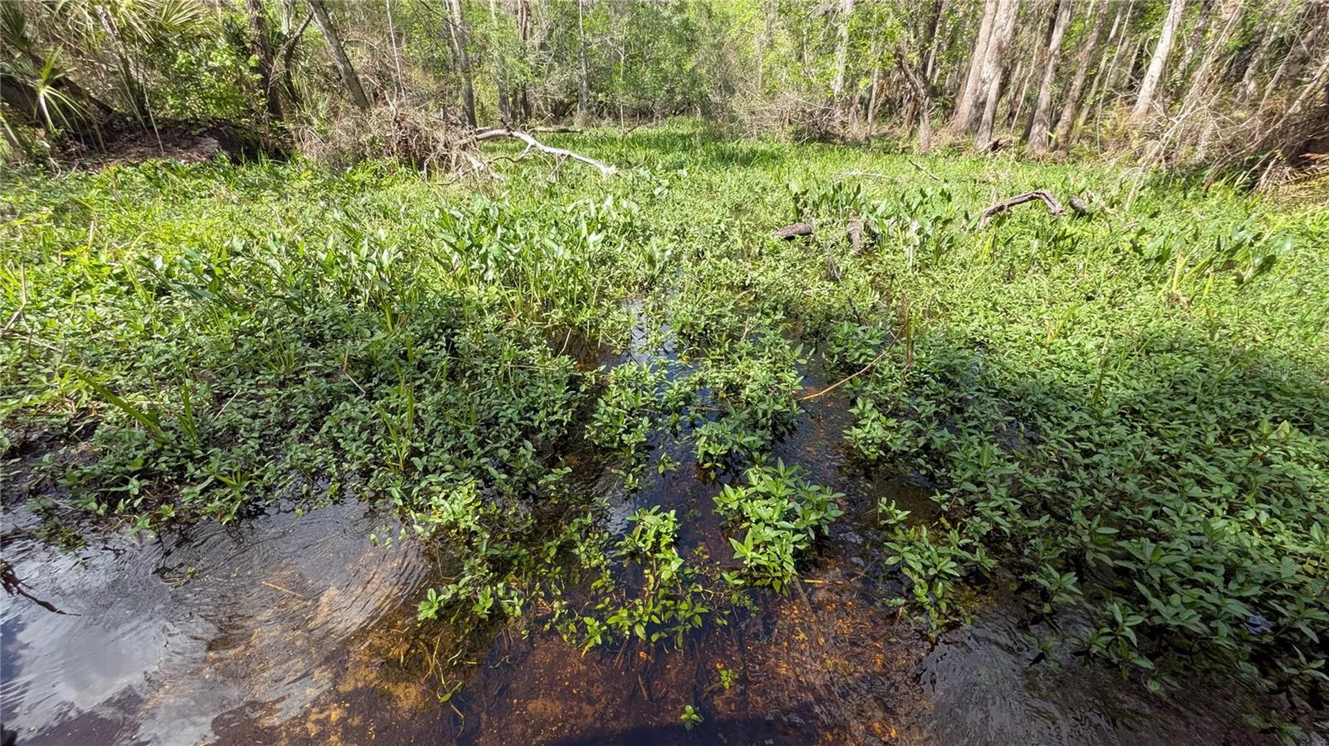 Gillette Road Zolfo Springs FL 33890