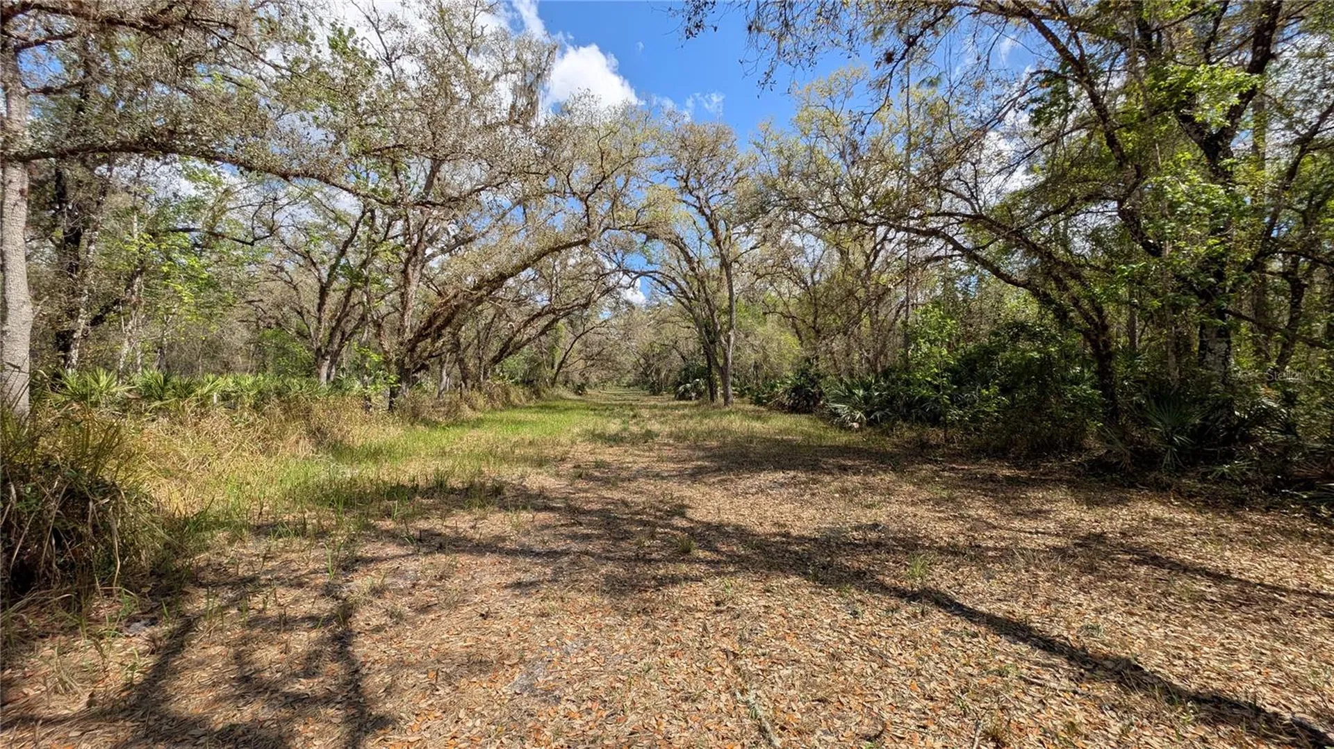 Gillette Road Zolfo Springs FL 33890