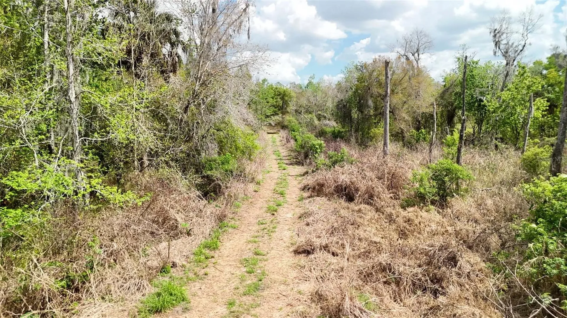 Gillette Road Zolfo Springs FL 33890