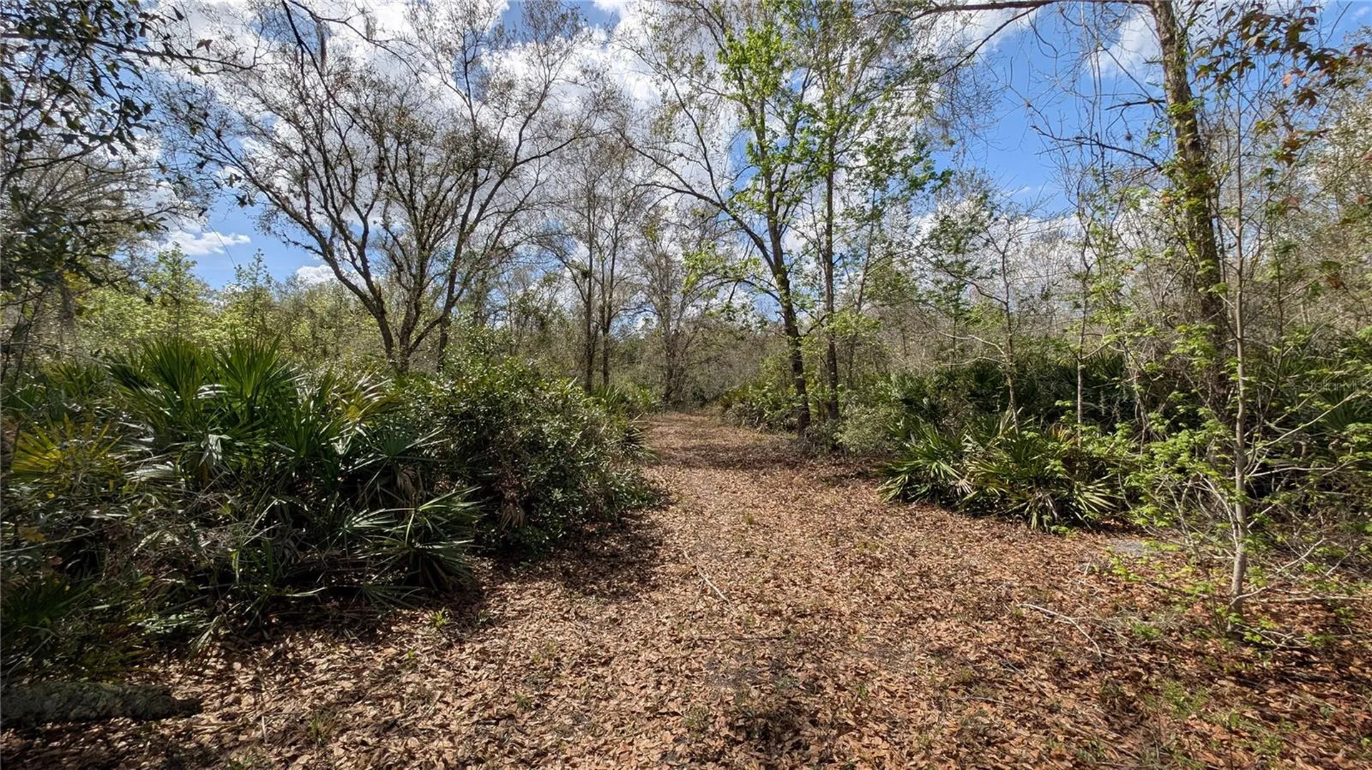 Gillette Road Zolfo Springs FL 33890