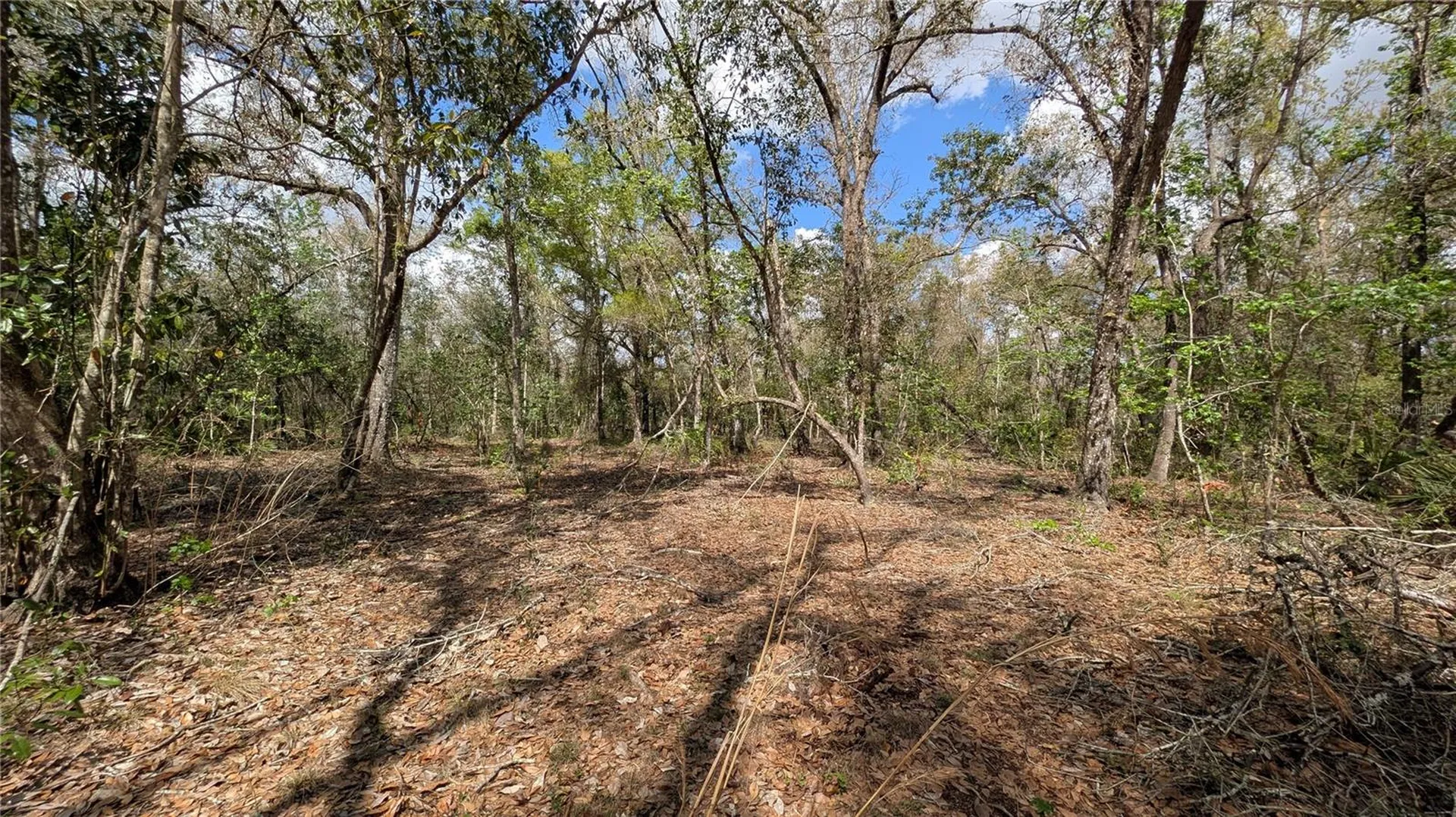 Gillette Road Zolfo Springs FL 33890