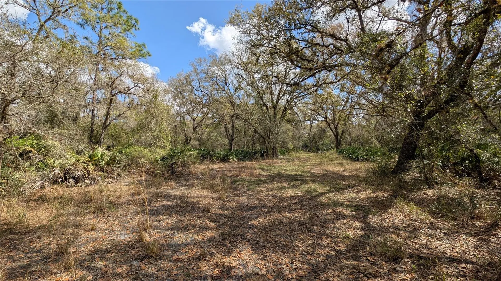 Gillette Road Zolfo Springs FL 33890