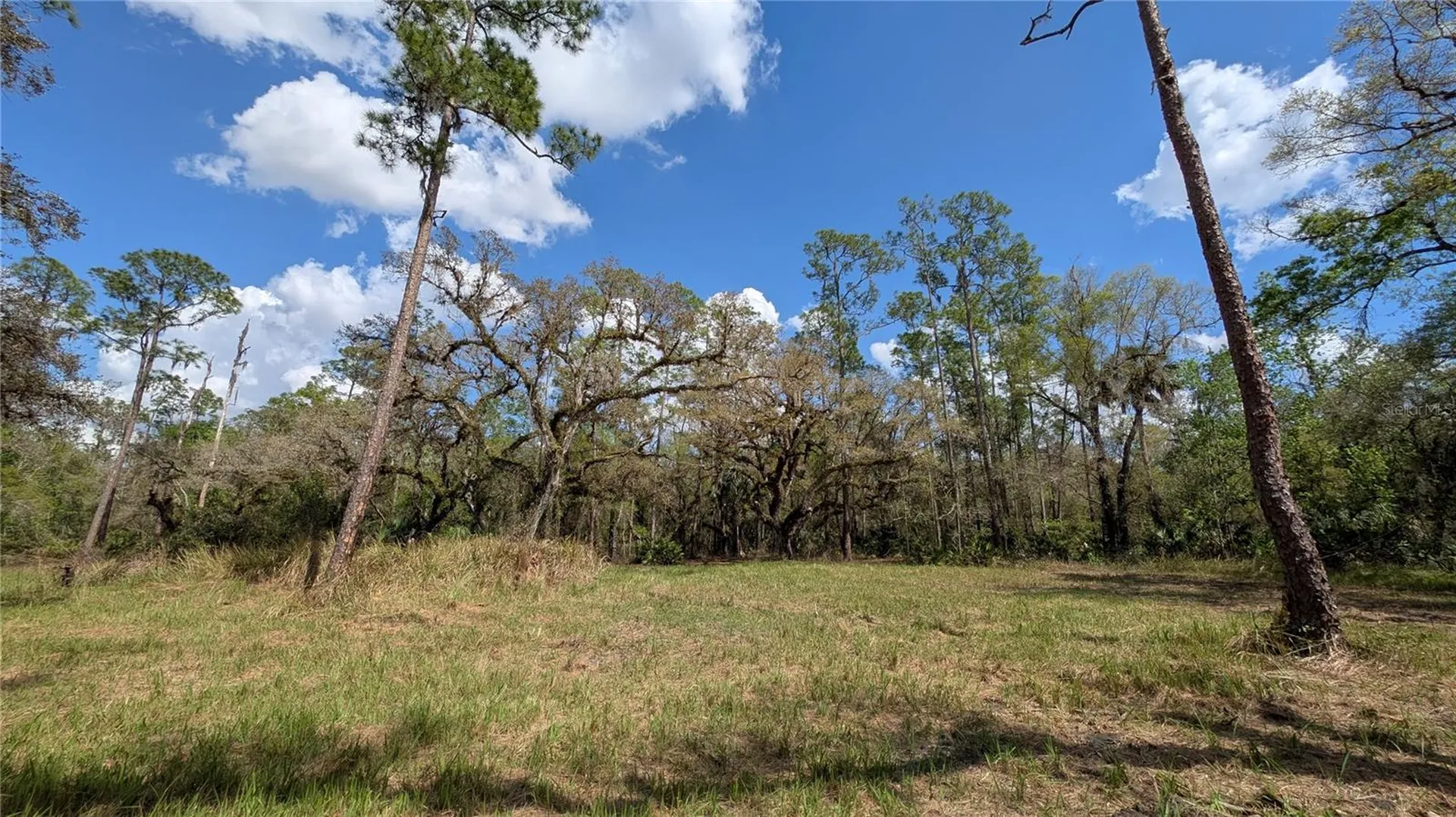 Gillette Road Zolfo Springs FL 33890