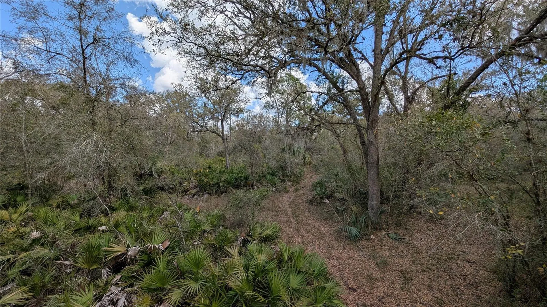 Gillette Road Zolfo Springs FL 33890