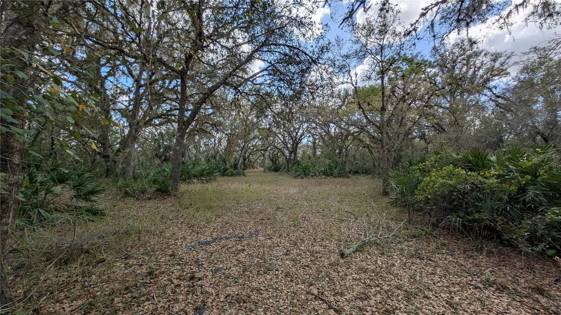 Gillette Road Zolfo Springs FL 33890
