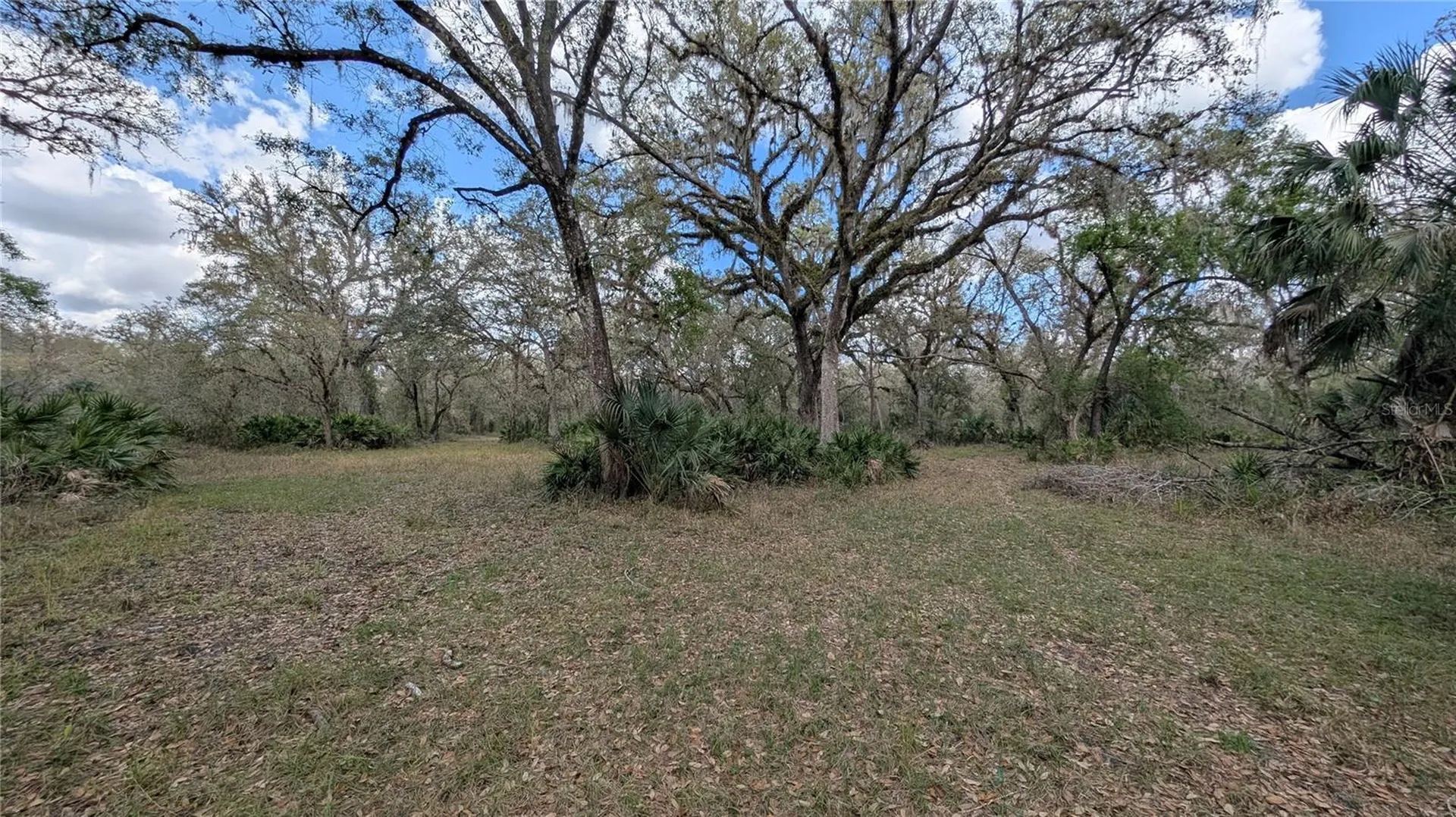 Gillette Road Zolfo Springs FL 33890