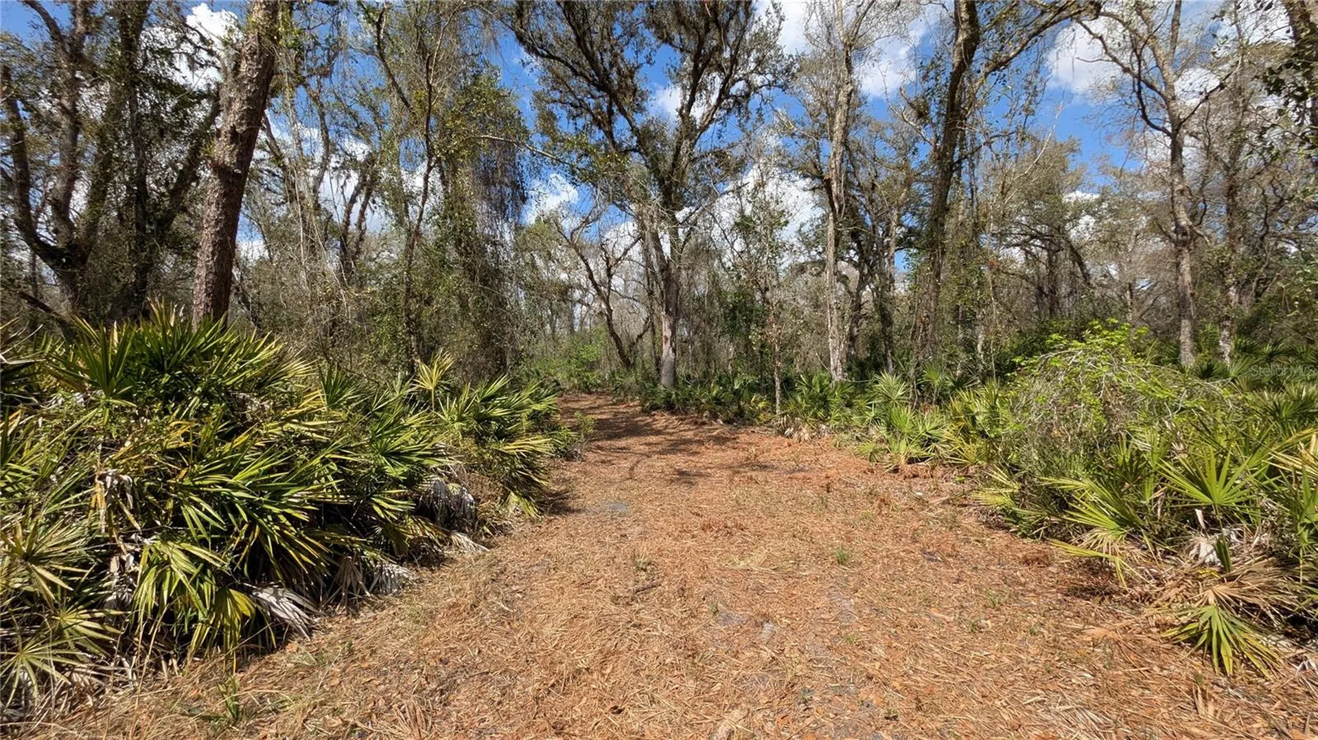 Gillette Road Zolfo Springs FL 33890
