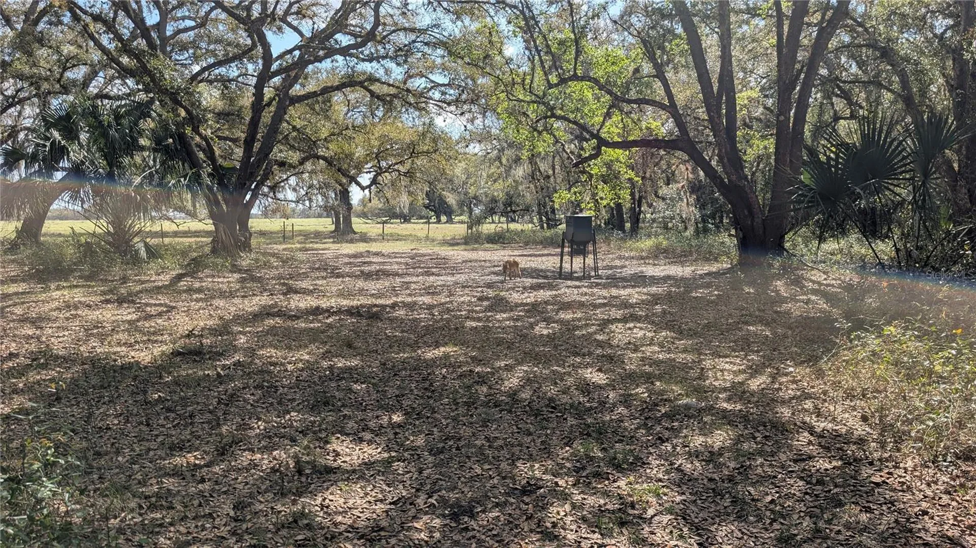 Gillette Road Zolfo Springs FL 33890