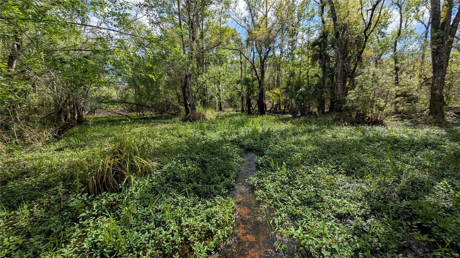Gillette Road Zolfo Springs FL 33890