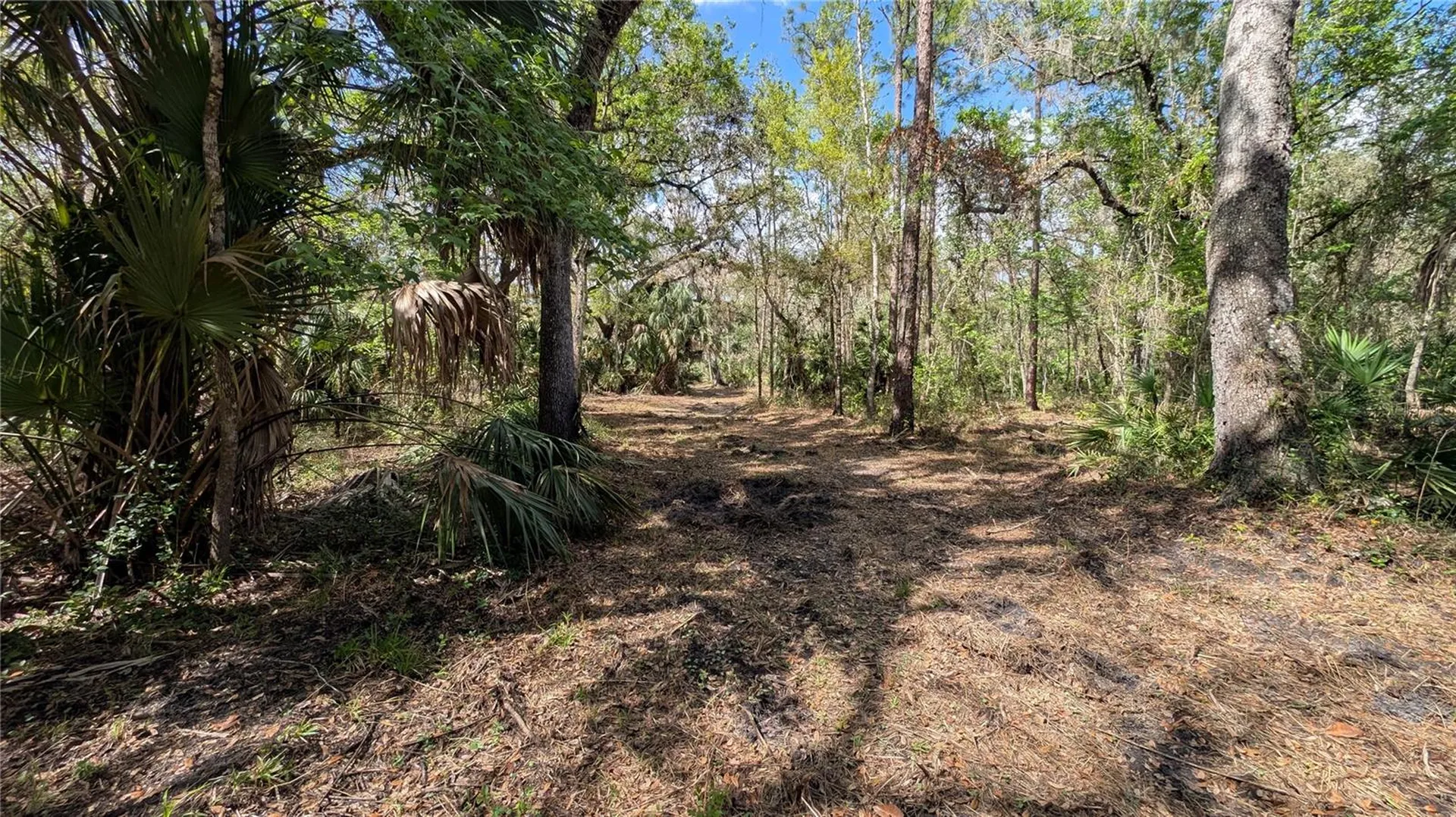 Gillette Road Zolfo Springs FL 33890