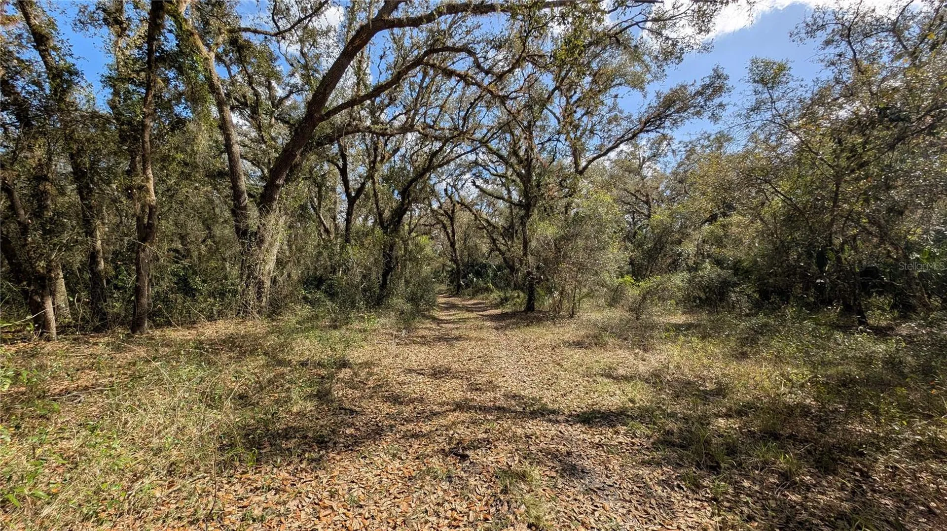 Gillette Road Zolfo Springs FL 33890