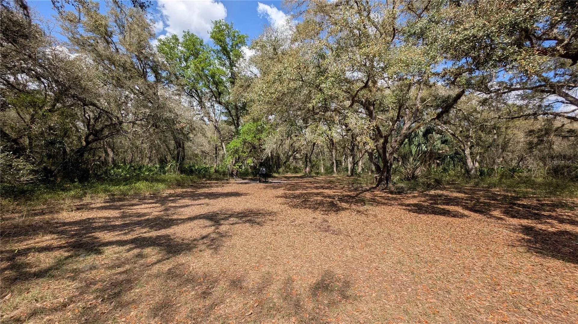 Gillette Road Zolfo Springs FL 33890