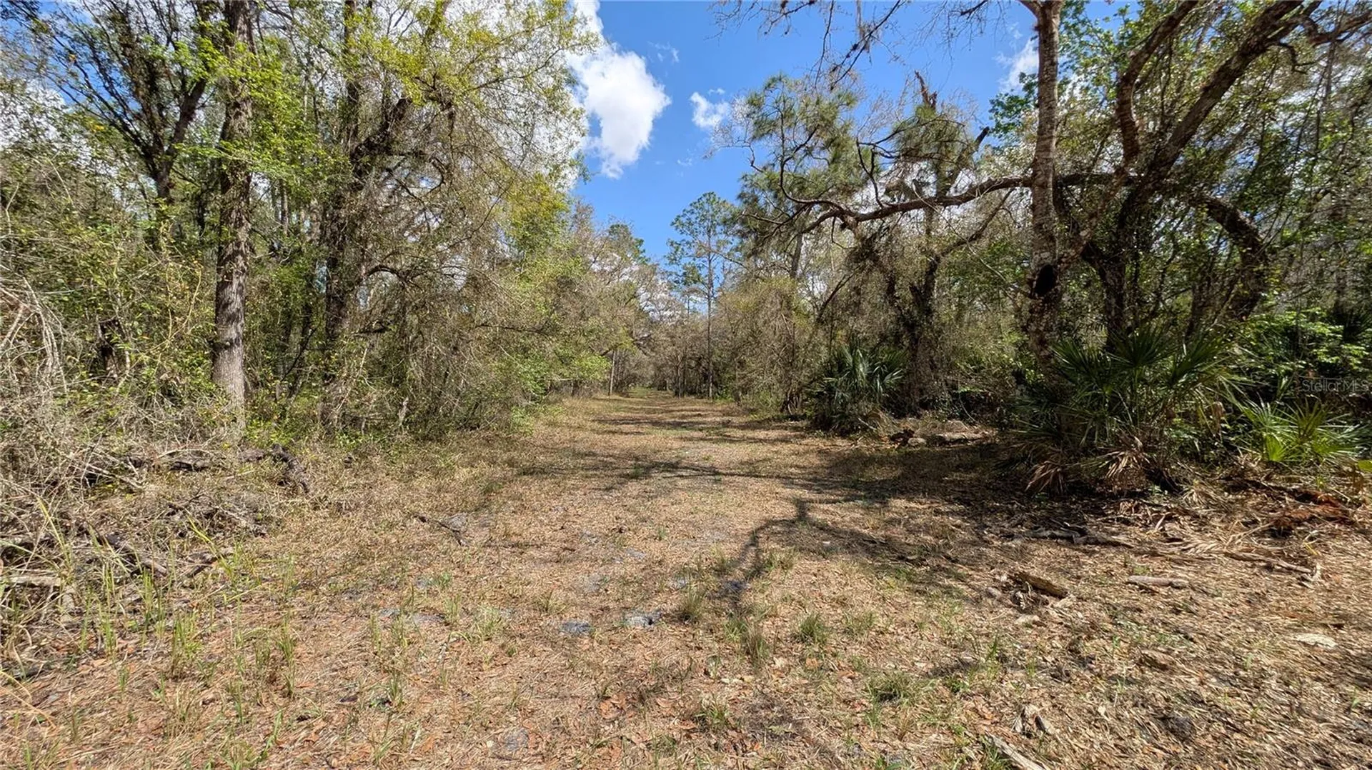 Gillette Road Zolfo Springs FL 33890