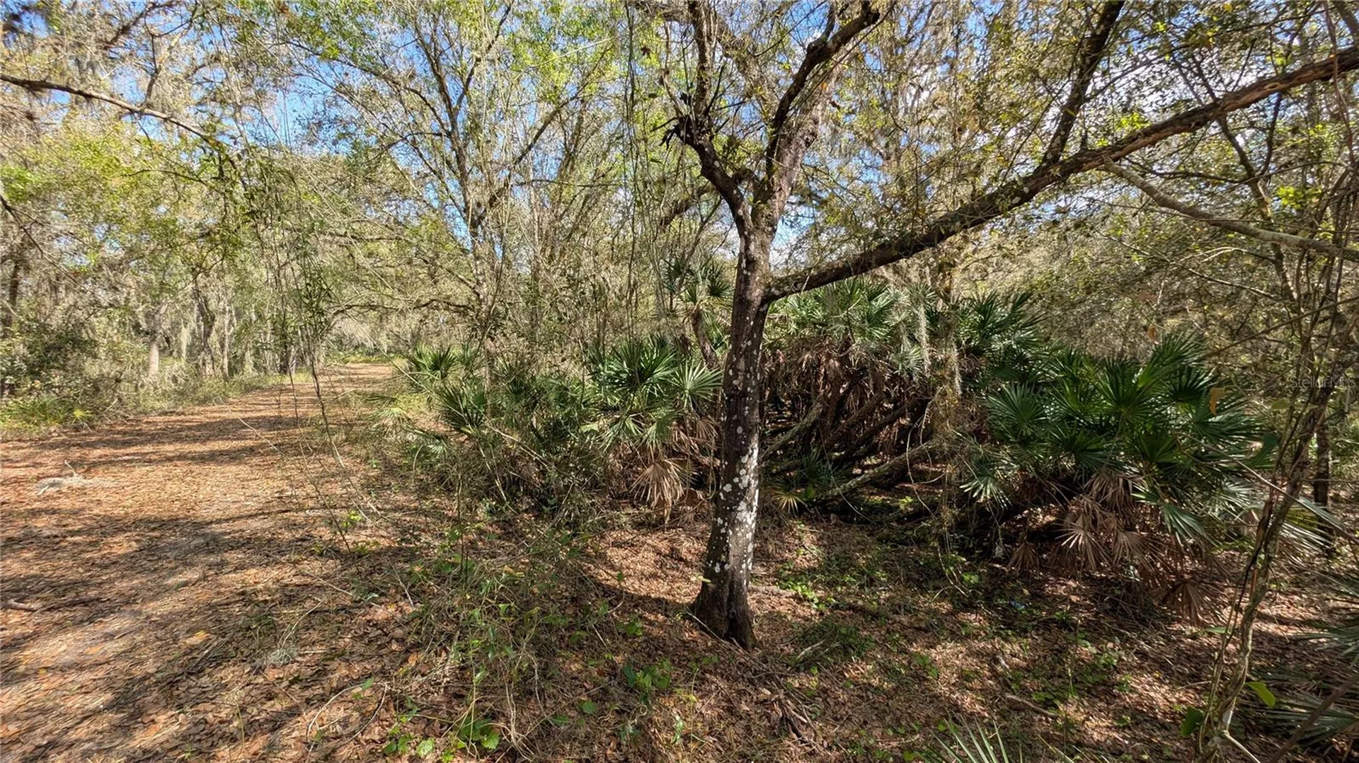 Gillette Road Zolfo Springs FL 33890