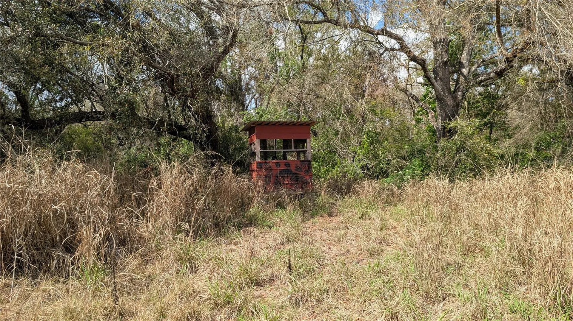 Gillette Road Zolfo Springs FL 33890