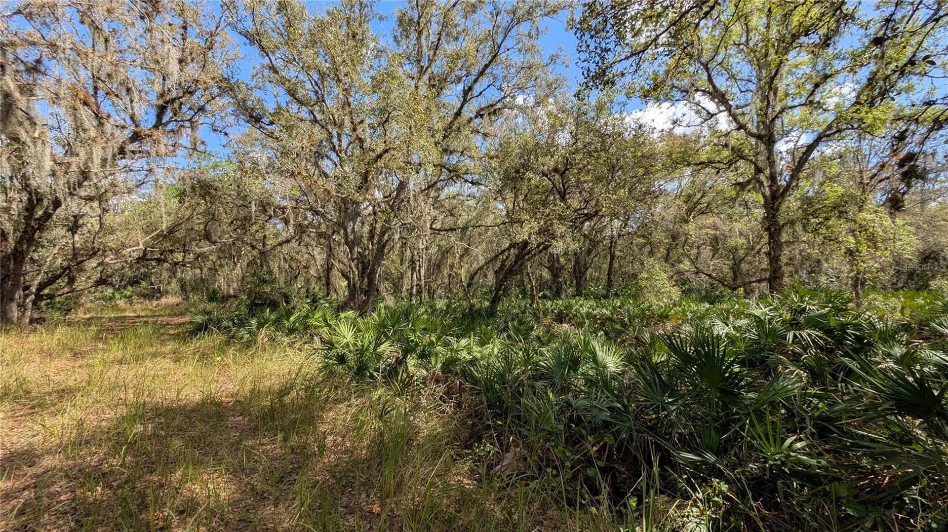 Gillette Road Zolfo Springs FL 33890