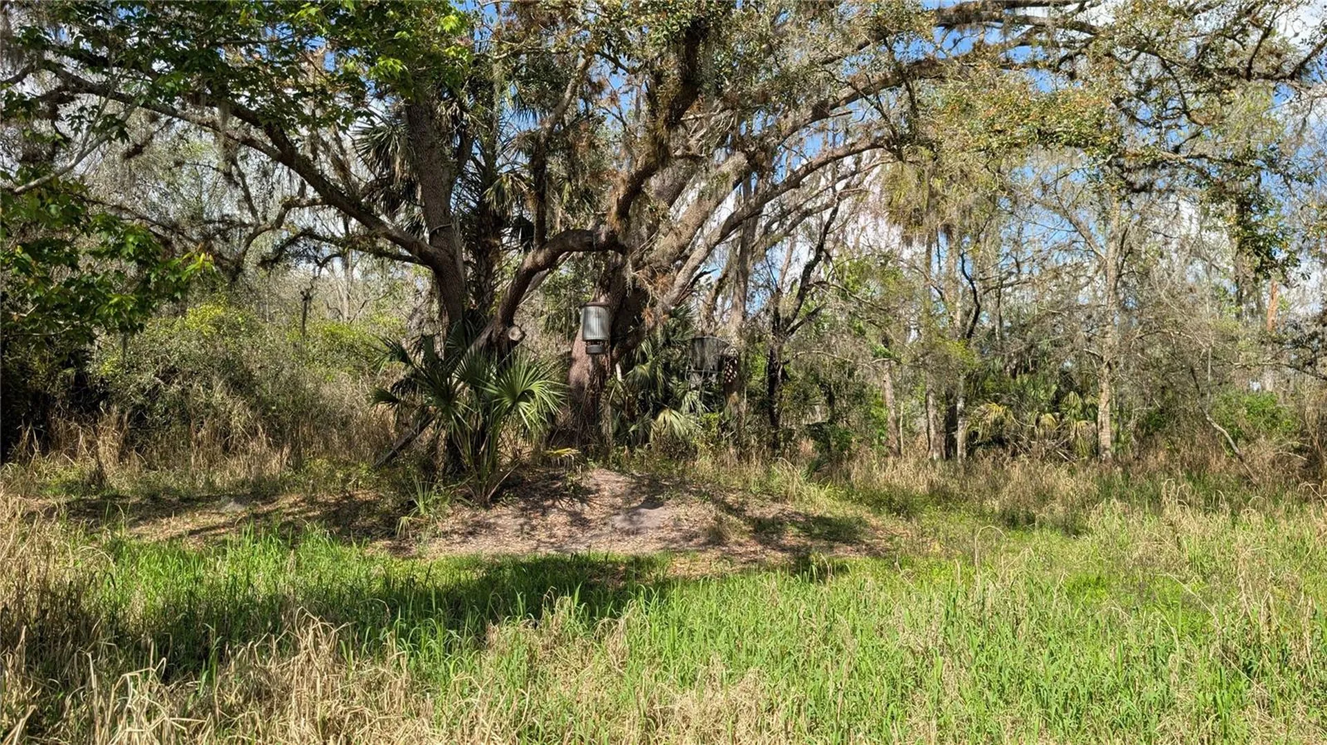 Gillette Road Zolfo Springs FL 33890