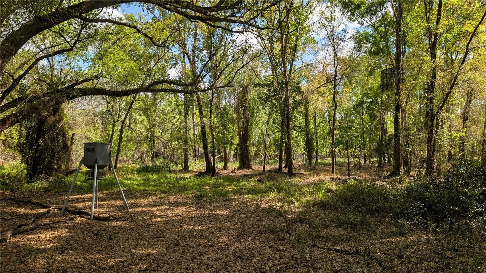 Gillette Road Zolfo Springs FL 33890