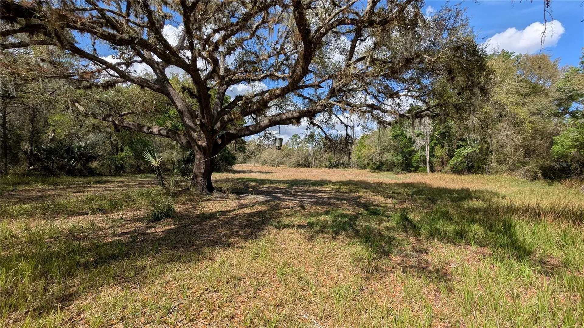 Gillette Road Zolfo Springs FL 33890