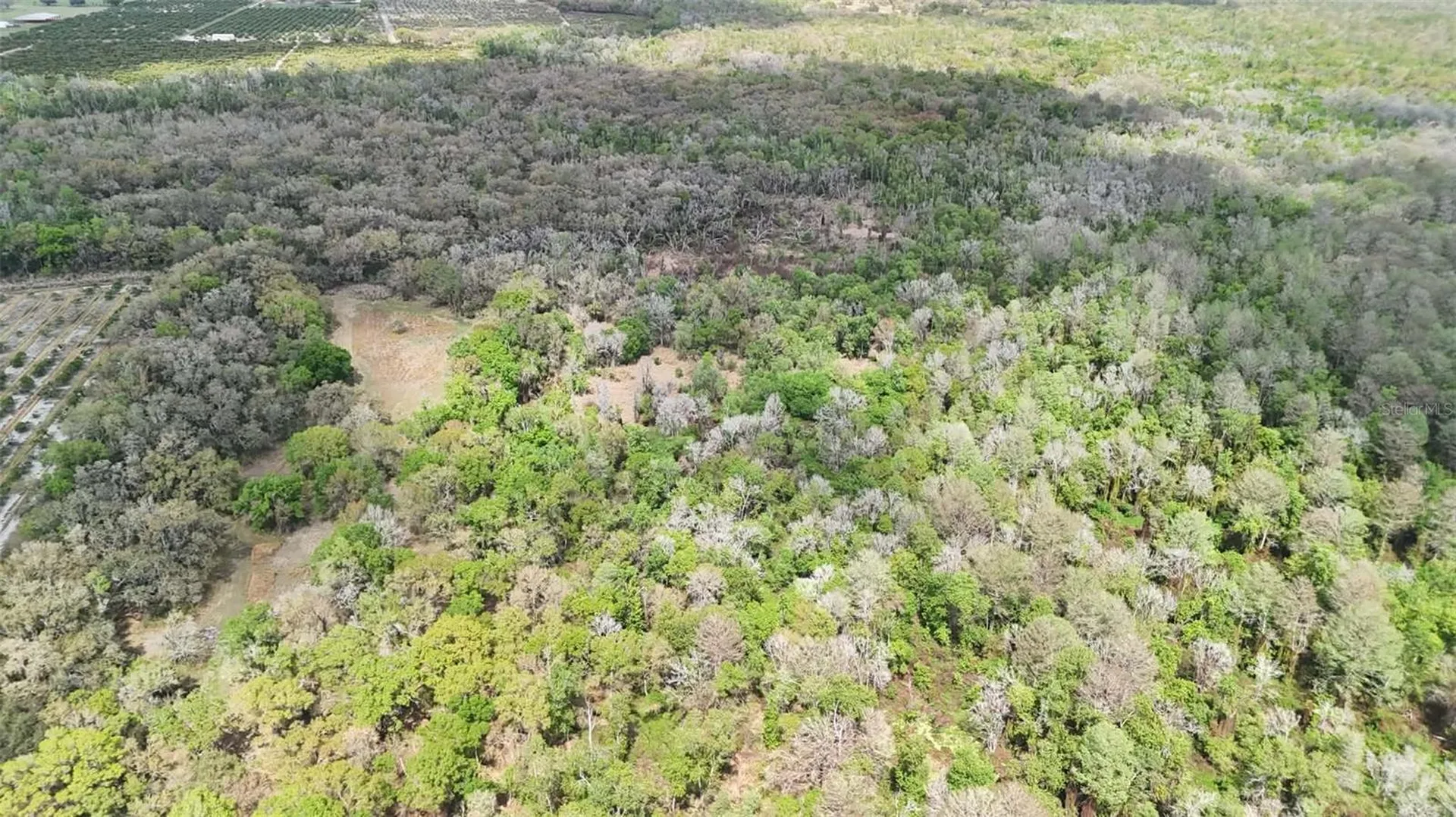Gillette Road Zolfo Springs FL 33890
