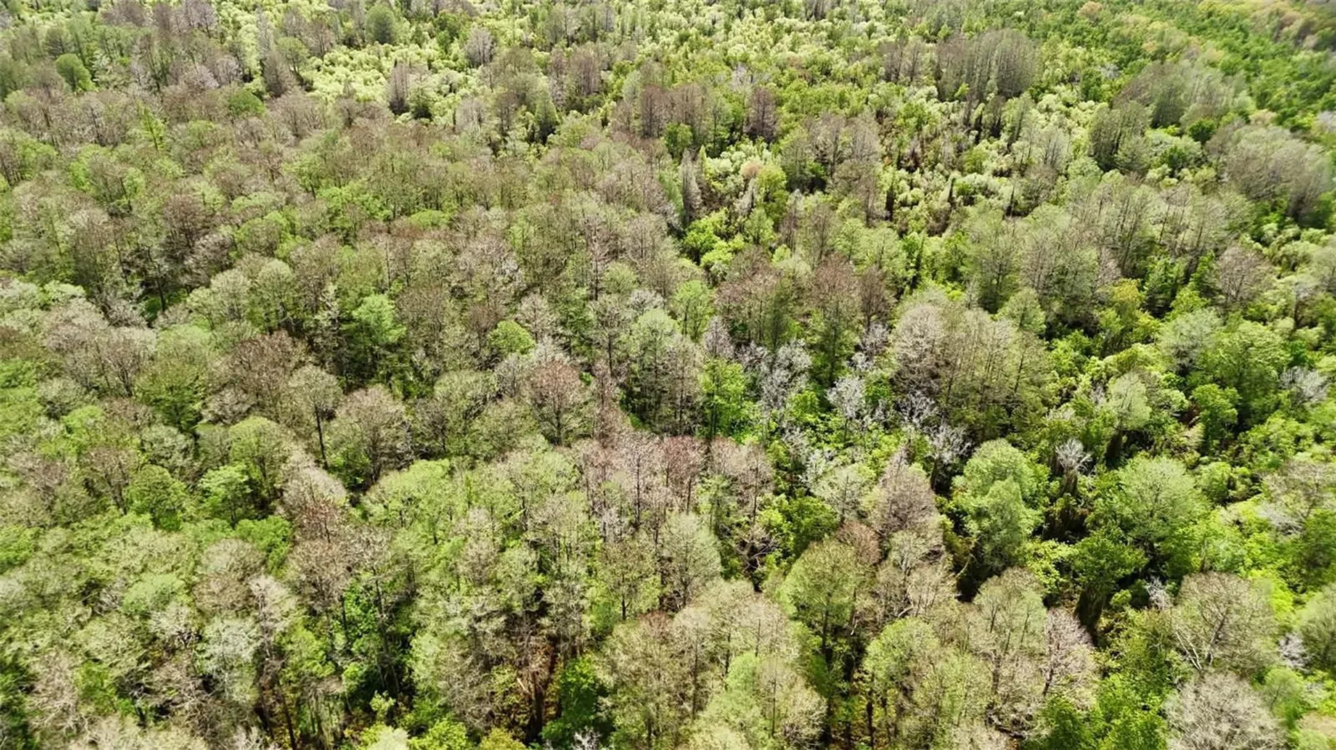 Gillette Road Zolfo Springs FL 33890