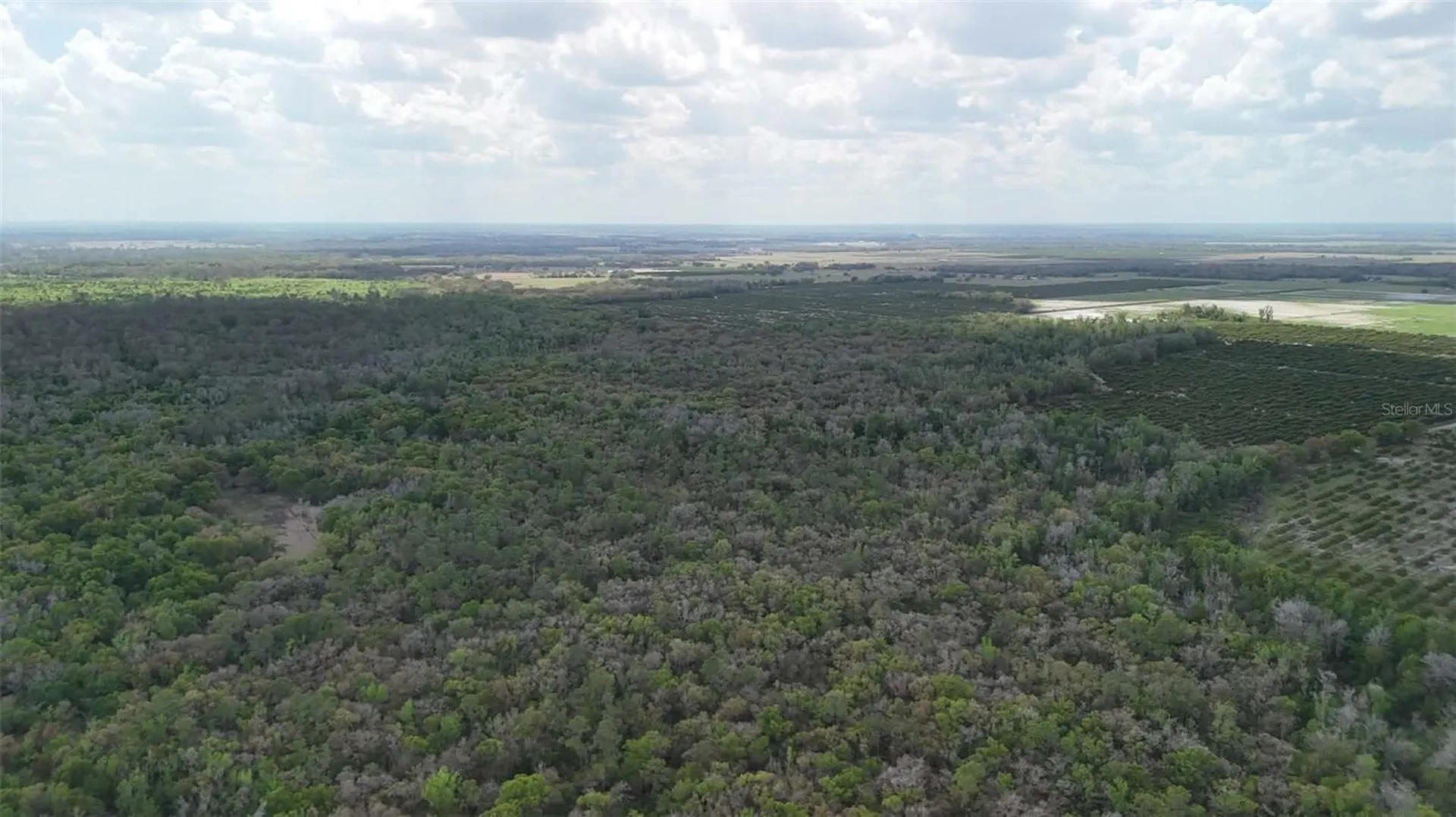 Gillette Road Zolfo Springs FL 33890