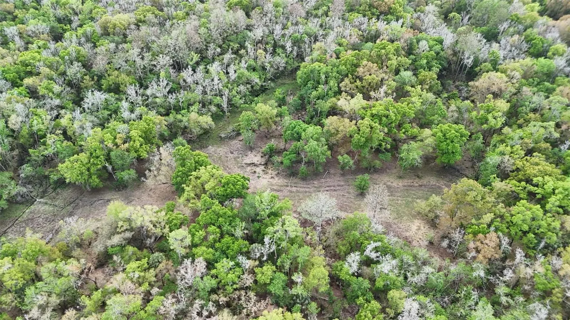 Gillette Road Zolfo Springs FL 33890