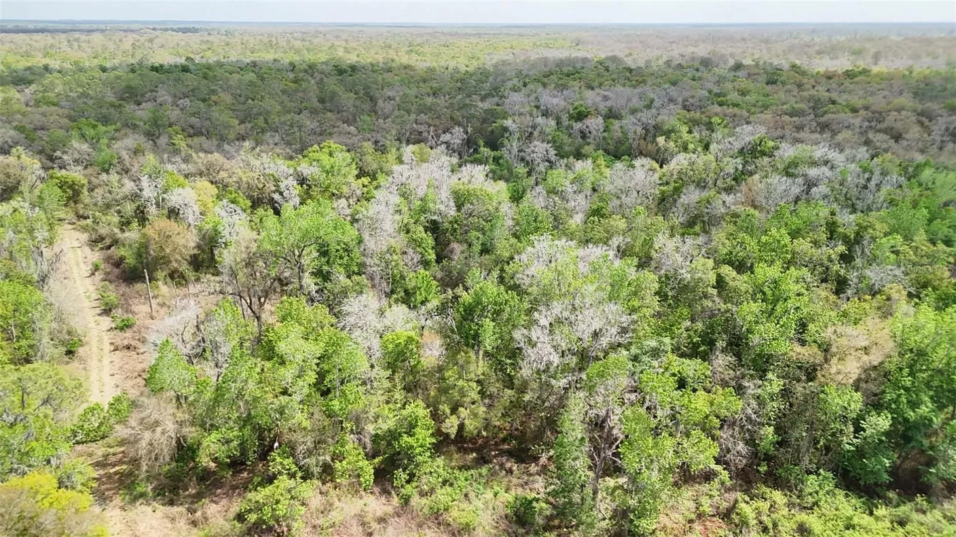 Gillette Road Zolfo Springs FL 33890