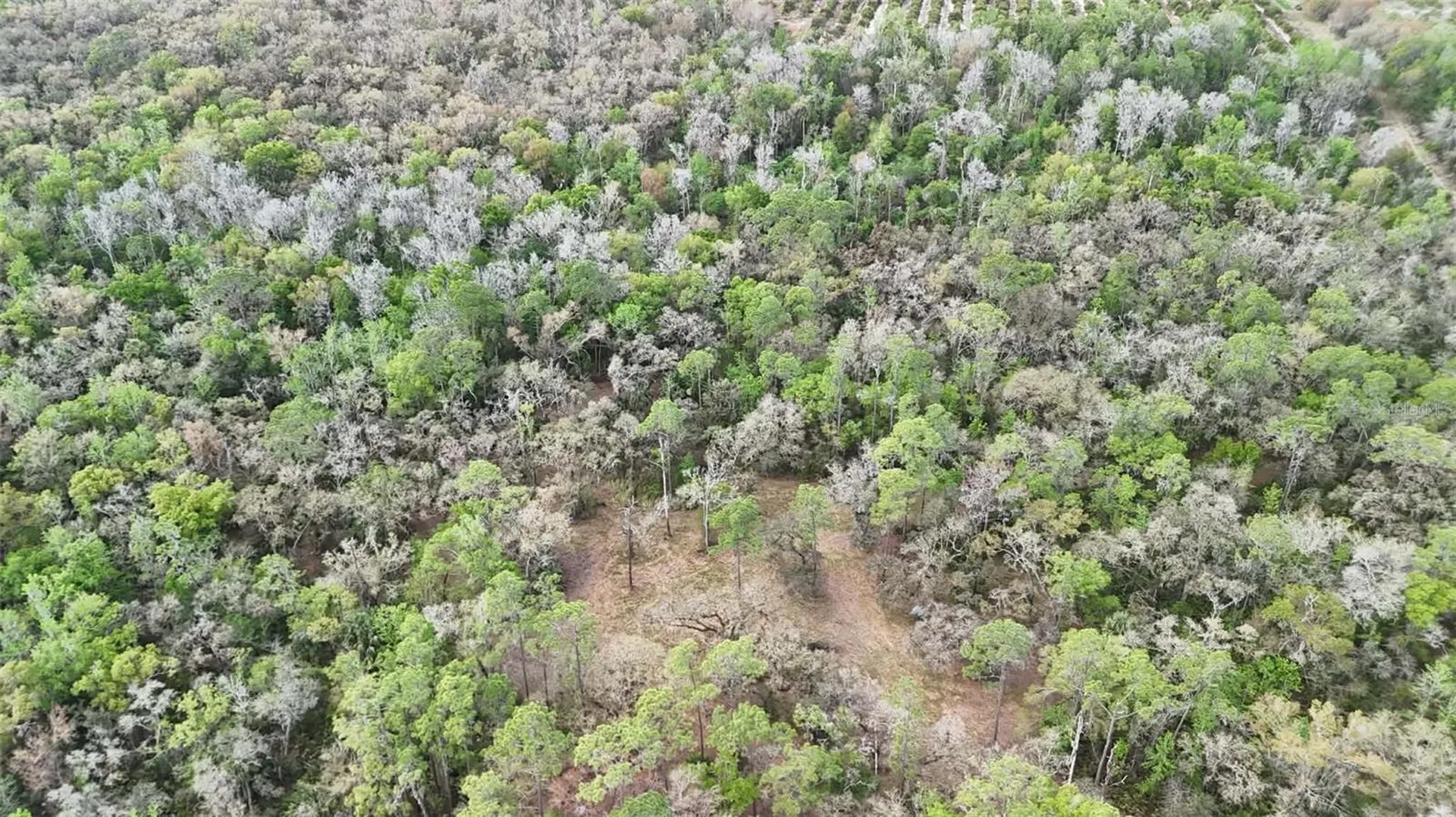 Gillette Road Zolfo Springs FL 33890
