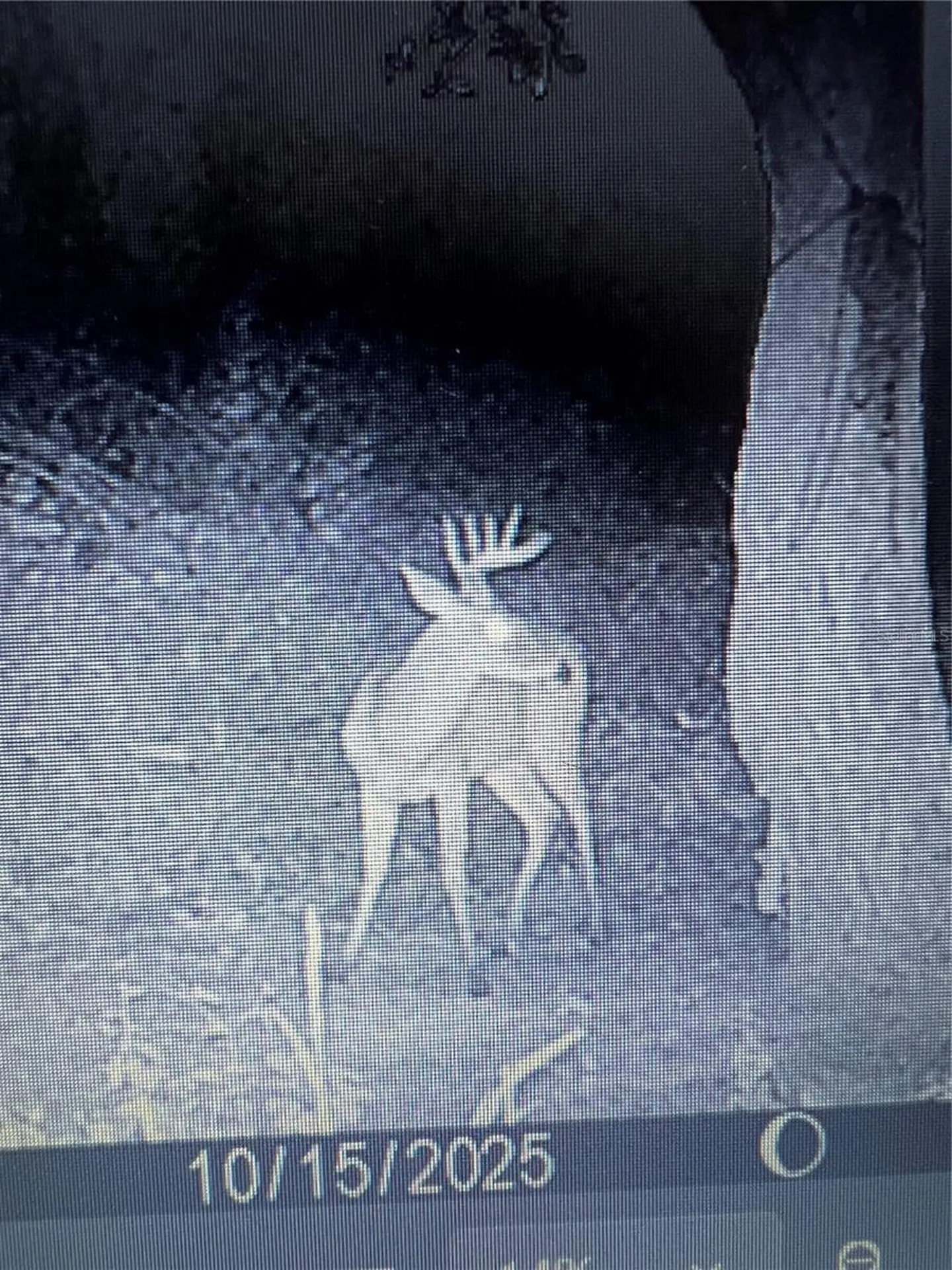 Gillette Road Zolfo Springs FL 33890