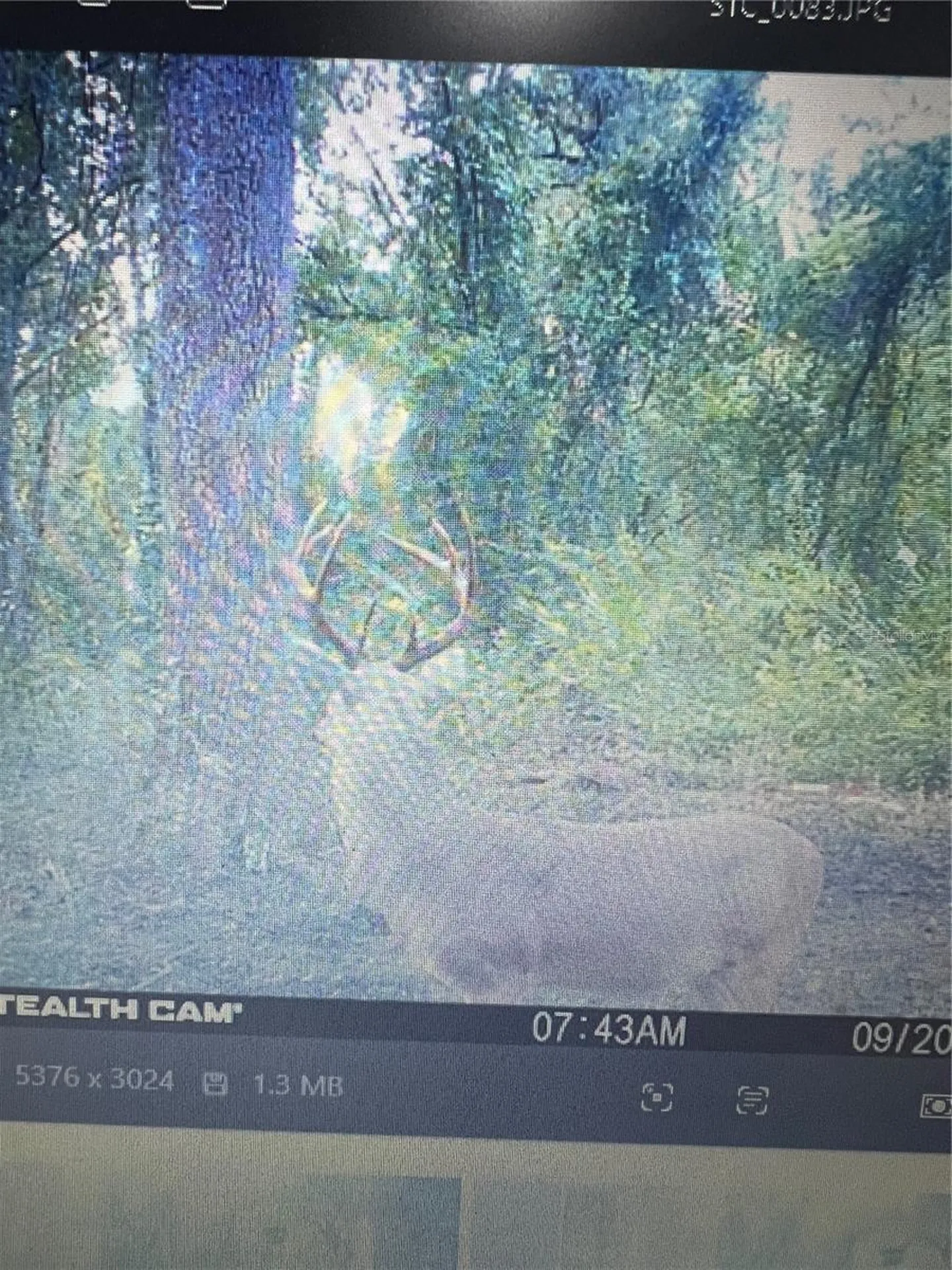 Gillette Road Zolfo Springs FL 33890