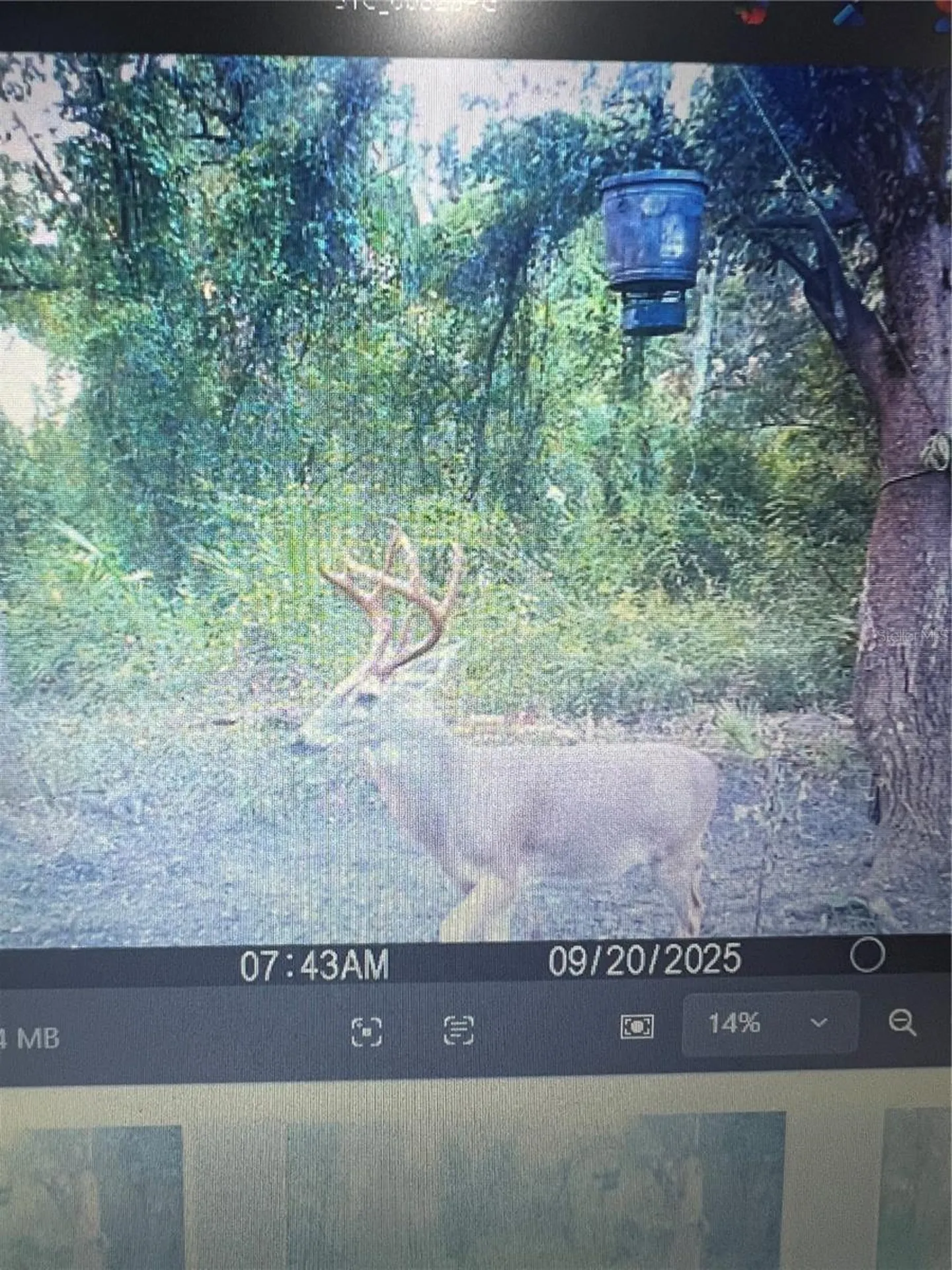Gillette Road Zolfo Springs FL 33890