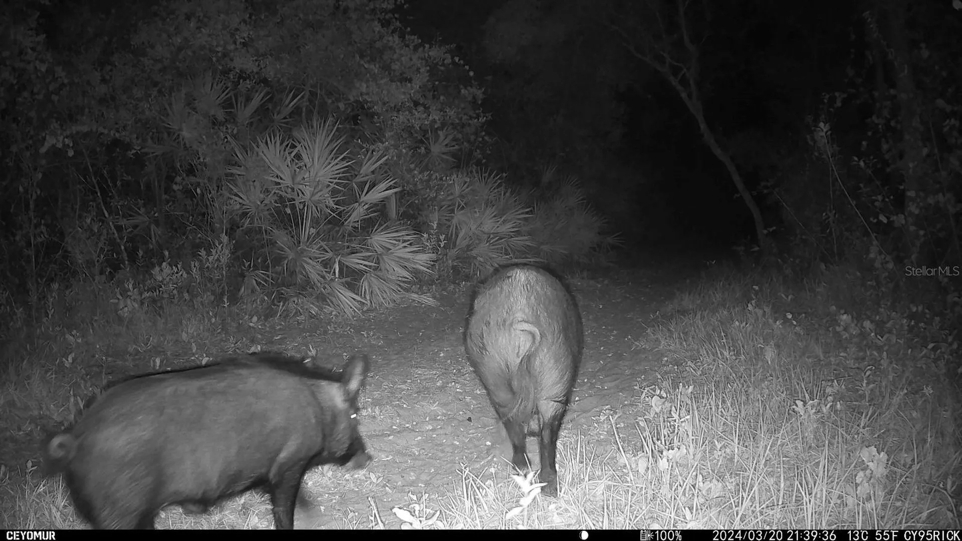 Gillette Road Zolfo Springs FL 33890