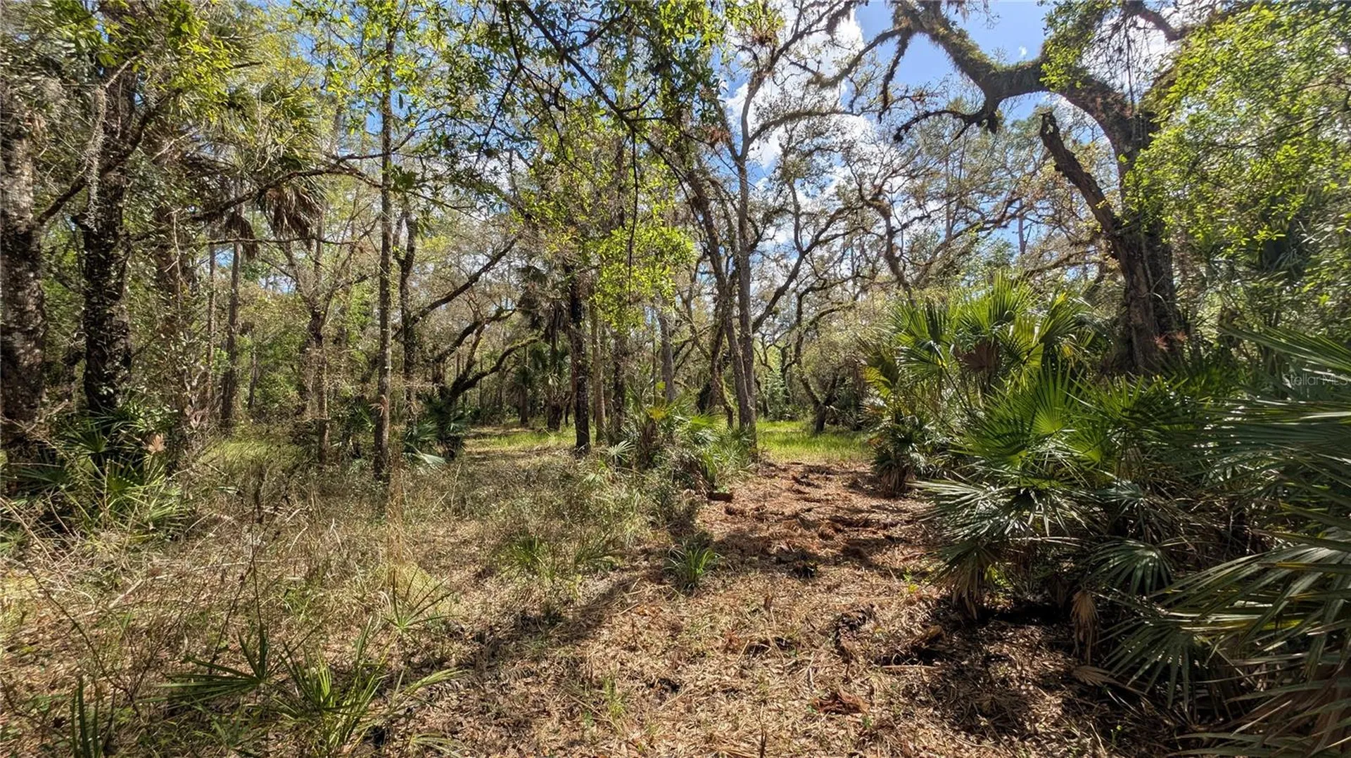 Gillette Road Zolfo Springs FL 33890