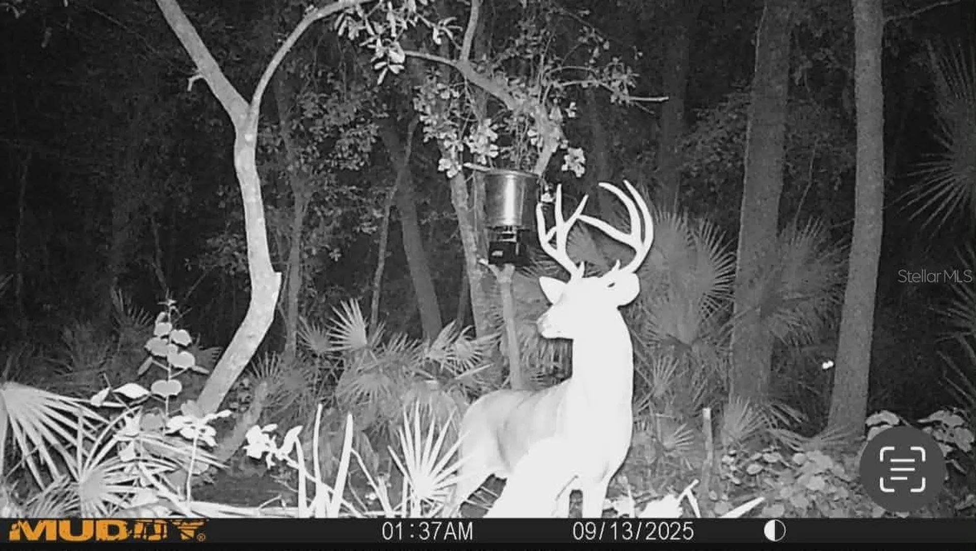 Gillette Road Zolfo Springs FL 33890