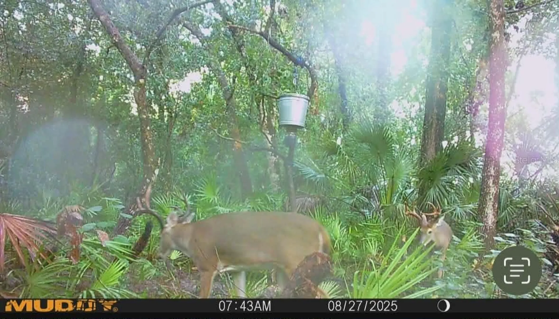 Gillette Road Zolfo Springs FL 33890