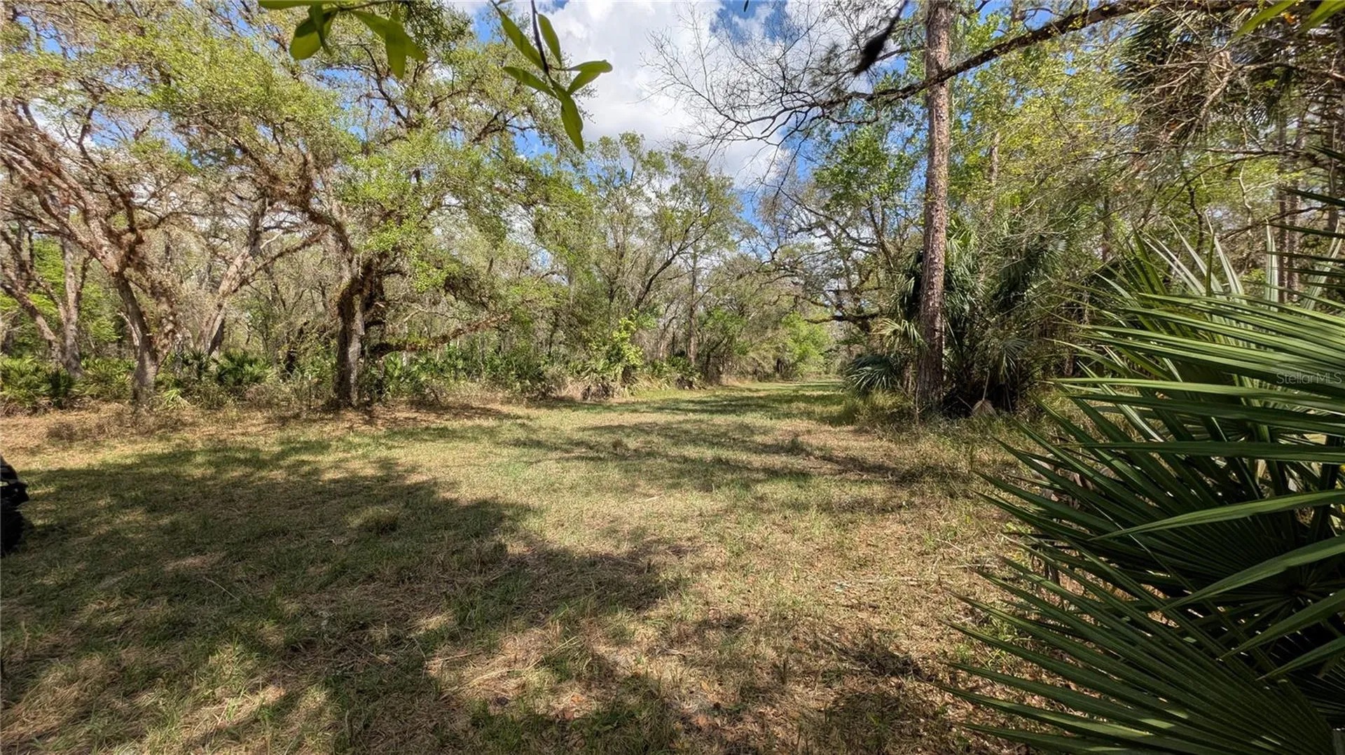 Gillette Road Zolfo Springs FL 33890