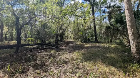 Gillette Road Zolfo Springs FL 33890