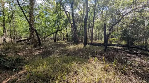 Gillette Road Zolfo Springs FL 33890