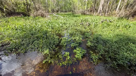 Gillette Road Zolfo Springs FL 33890